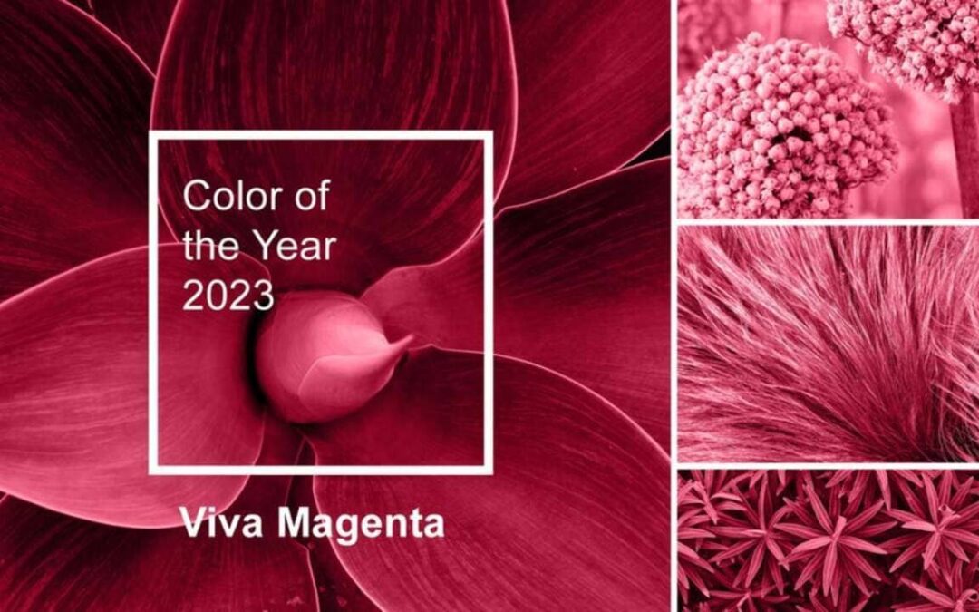 Colore Magenta la tendenza nel 2023